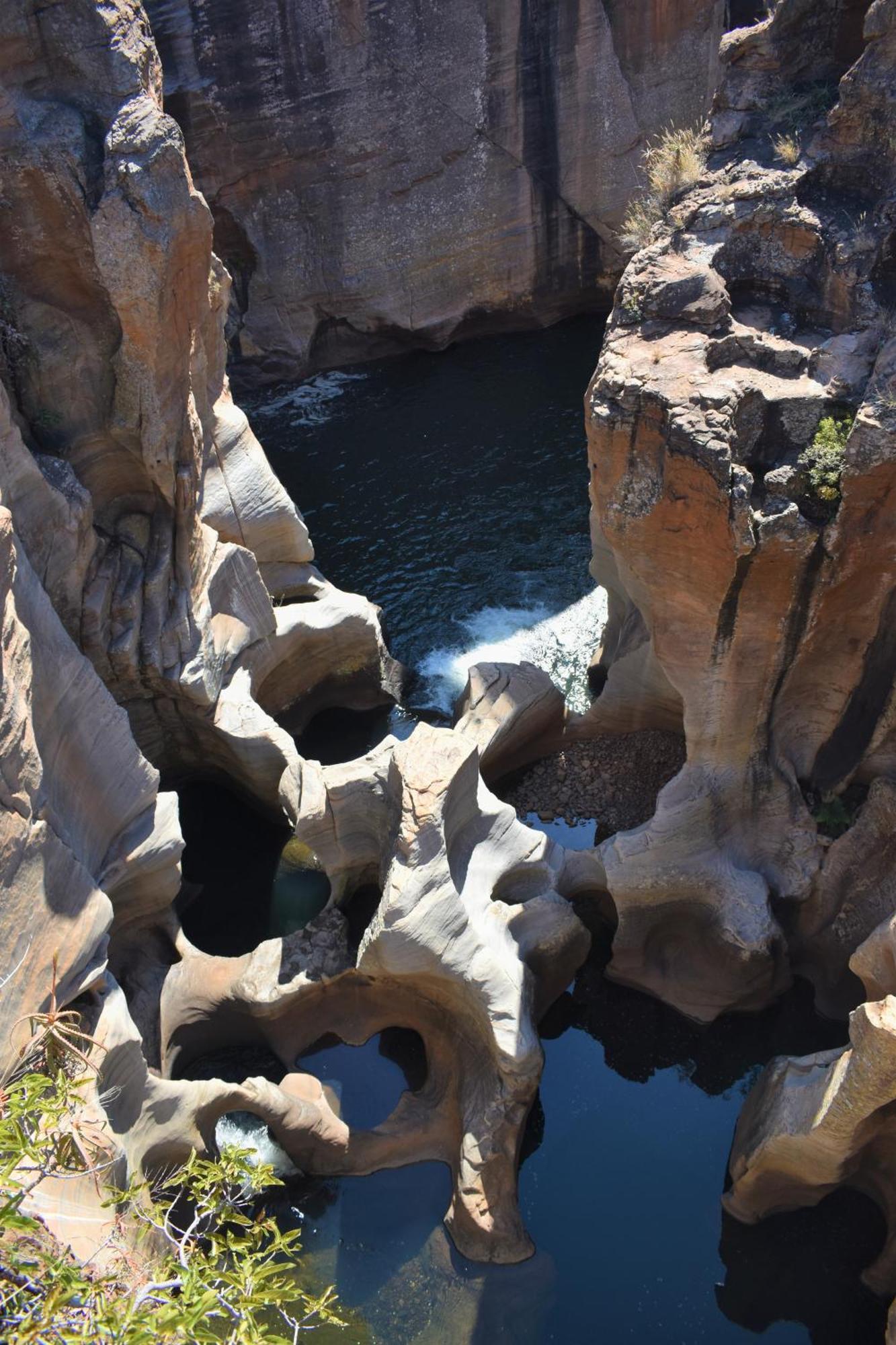 The Baobab Bush Lodge And Villa هويدزبروت المظهر الخارجي الصورة