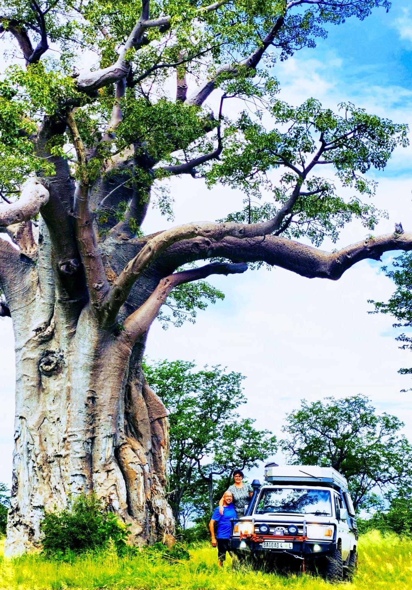 The Baobab Bush Lodge And Villa هويدزبروت المظهر الخارجي الصورة