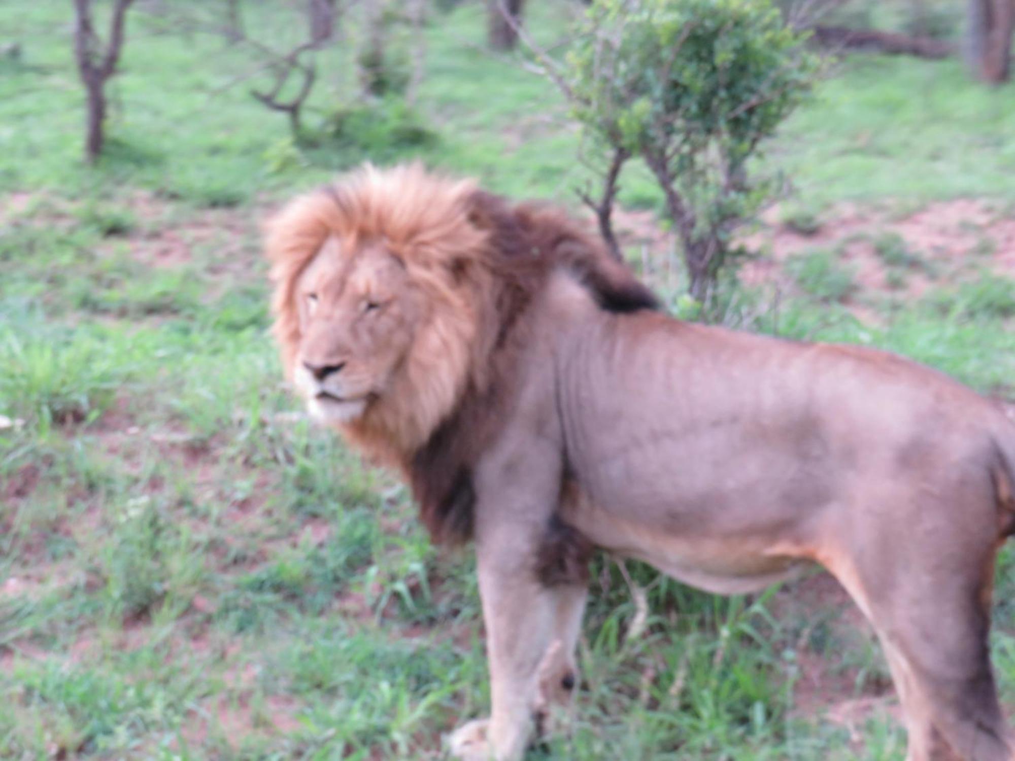 The Baobab Bush Lodge And Villa هويدزبروت المظهر الخارجي الصورة