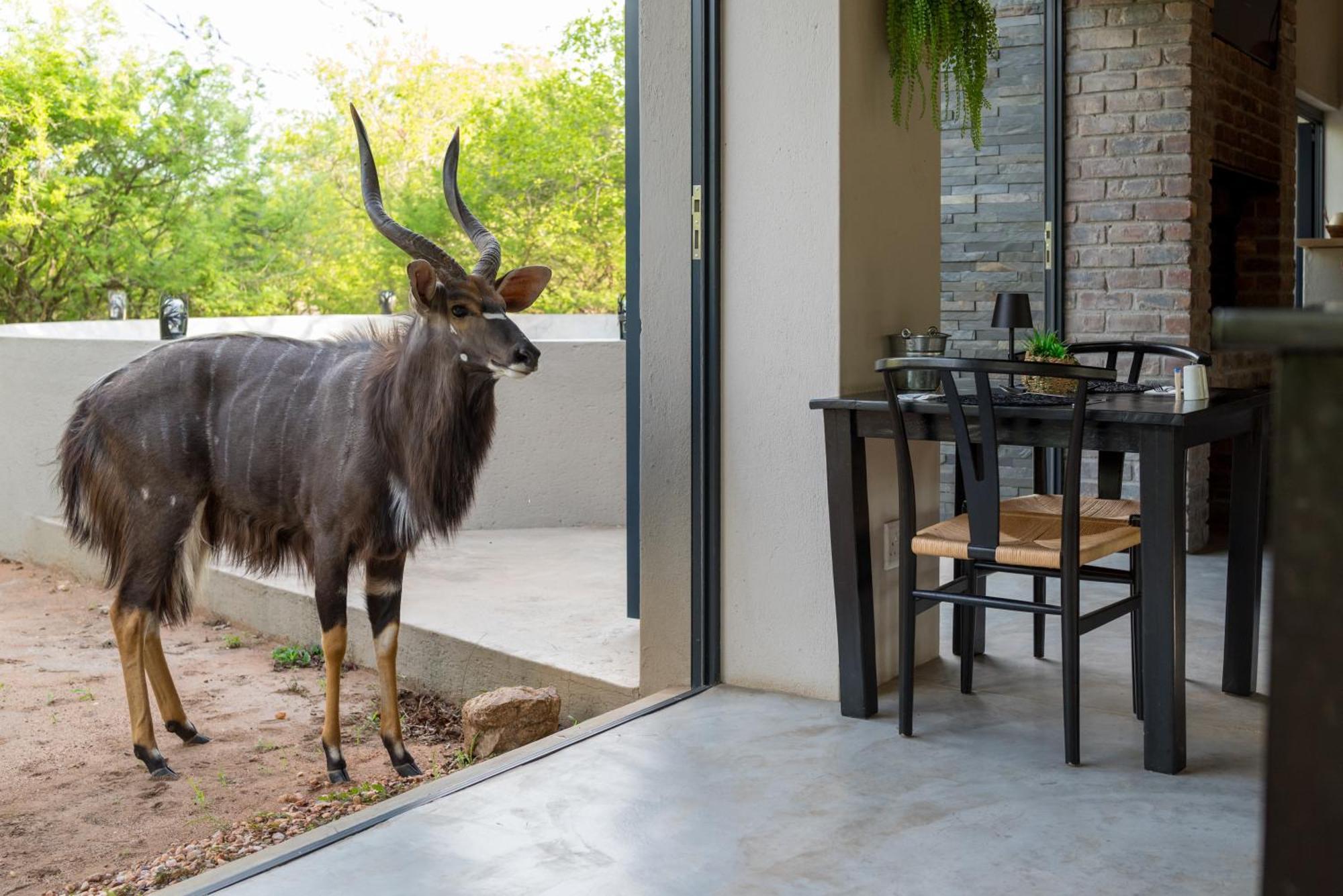 The Baobab Bush Lodge And Villa هويدزبروت المظهر الخارجي الصورة